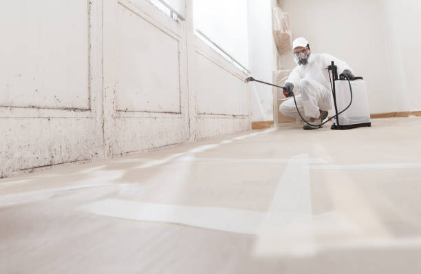 24/7 Emergency Mold Remediation experts in Washington, WA